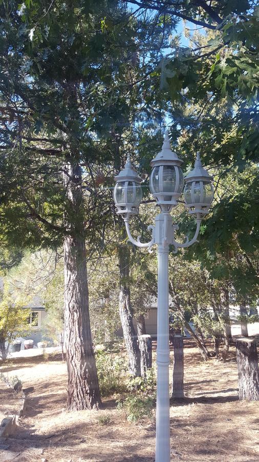 Bluebird Cottage Inn Idyllwild Dış mekan fotoğraf