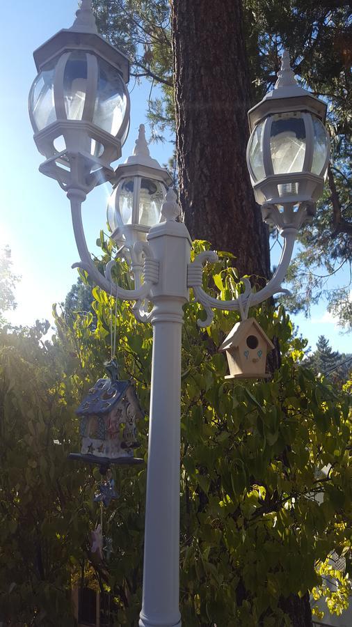 Bluebird Cottage Inn Idyllwild Dış mekan fotoğraf