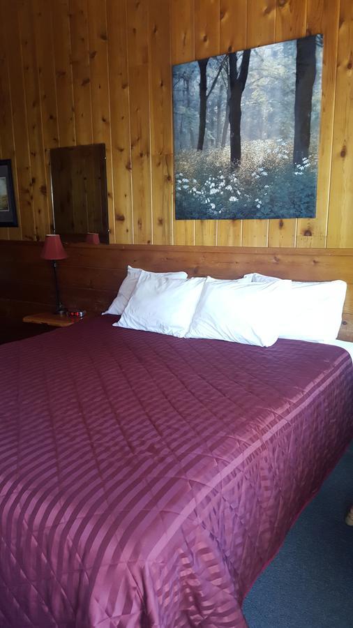 Bluebird Cottage Inn Idyllwild Dış mekan fotoğraf